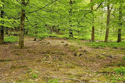 Charmantes Ferienhaus am Seeufer