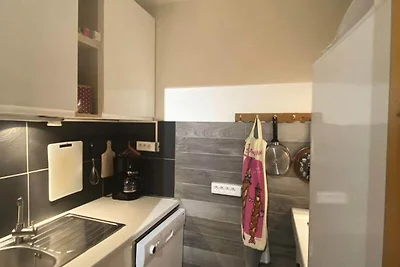 Wohnung in Frankreich an den Pisten