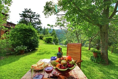 Agriturismo a Cortona con giardino e piscina
