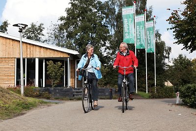 Vrijstaand vakantiehuis met combimagnetron, o...