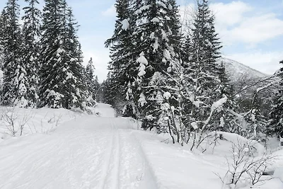 Maison de vacances pour 8 a Hemsedal