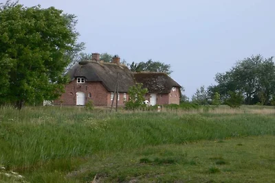 Friesenhaus Hörn