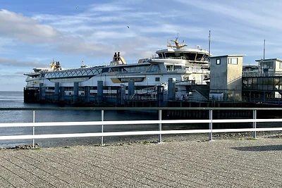 Chalet auf Texel nahe Strand und Wald