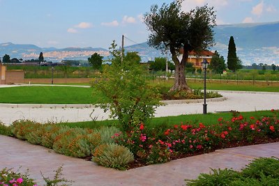 An agritourism complex with views of Assisi.