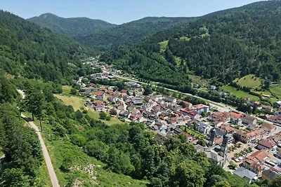 Ferienwohnung in Todtnau mit Wifi