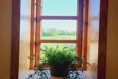 Ferienhaus mit Aktivitäten an der Küste