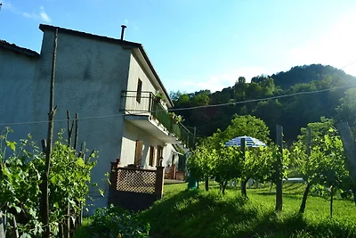 Accogliente casa vacanze a Molazzana con...