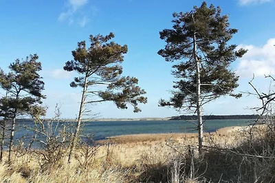 6 Personen Ferienhaus in Martofte
