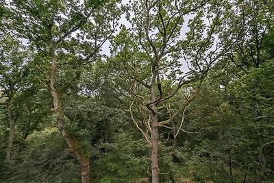 Ruhige Wasserfront-Hutte-By Traum