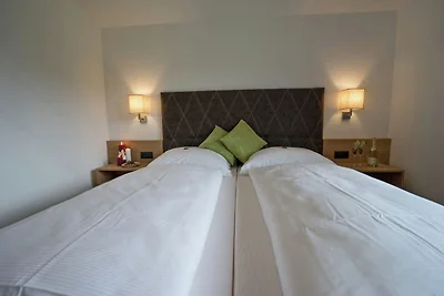 Appartement nahe des Skigebietes in Mayrhofen