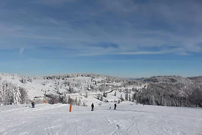 Behagliche Ferienwohnung in Elbingerode