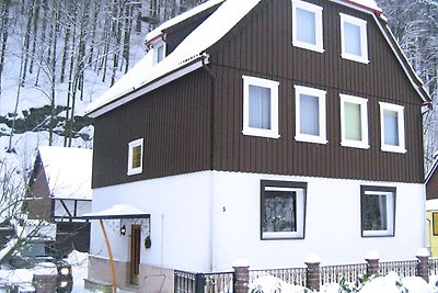 Geräumiges Ferienhaus in Zorge in Waldnähe