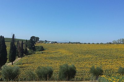 Das Idyllische Cottage in Cortona mit...