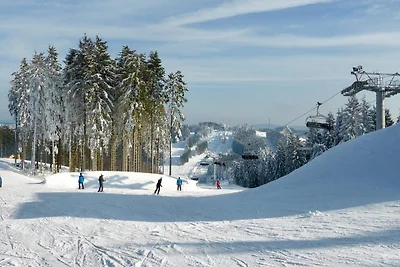 Wohnung nahe Skigebiet in Neuastenberg