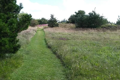 6 persoons vakantie huis in Fjerritslev-By...