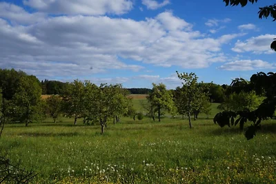 Wohnung in Kammerstein nahe Waldwege