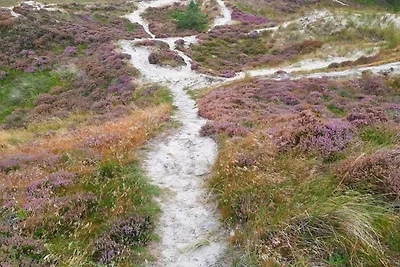 6 persone case ad Henne-By Traum