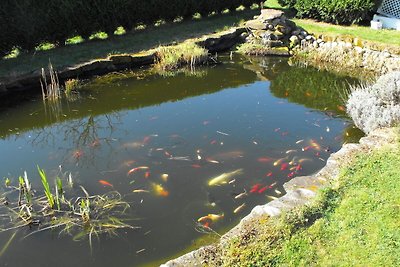 Modernes Ferienhaus mit Pool in Phalsbourg