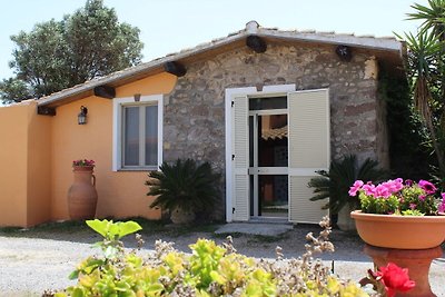 Gemütliches Ferienhaus in Calasetta (Sardinie...
