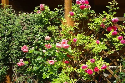 Winzen House Zuhag