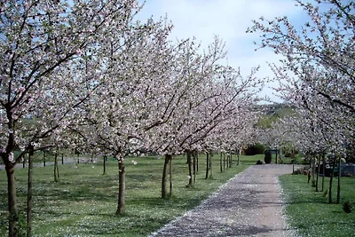 Ferienhaus "Mandelblüte"
