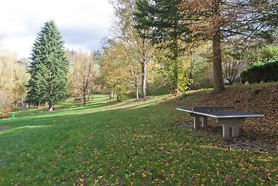 Ferienhaus am Hennesee mit Terrasse