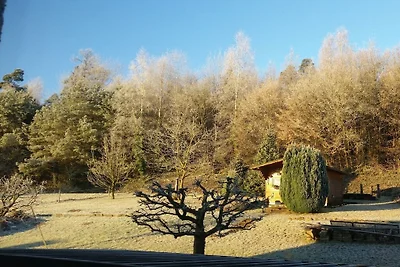 Wohnung in Eichenzell mit Schwimmbecken