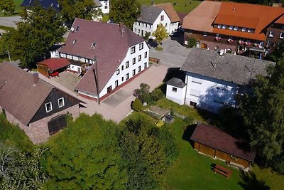 Große Dachgeschoßwohnung in Lauterbach im Sch...