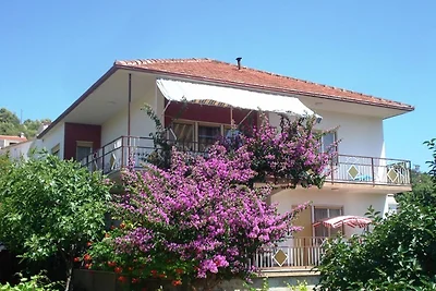 Appartamento a Vinisce con vista mare