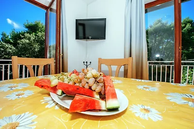 Wohnung in Dalmatien mit Terrasse