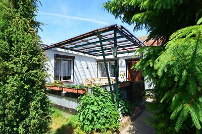 Ferienhaus in Cattenstedt Harz mit Garten