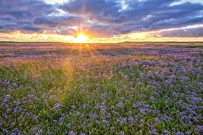 Familienurlaub auf Texel