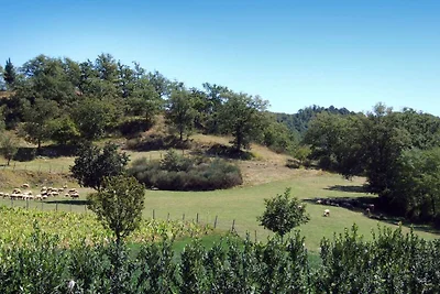 Umgebung (Sommer) (1-5 km) Umgebung (Sommer) (1-5 km)