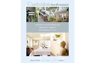 Huisje met rieten dak Noord-Friesland