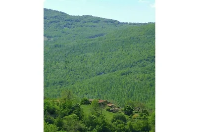 Podere di Maggio