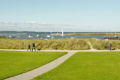 6 persoons vakantie huis in Wendtorf