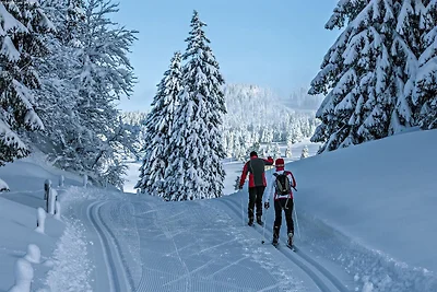 Holzchalet inmitten der Berge in La Tzoumaz