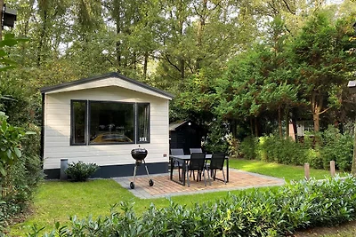Schönes Chalet in Drenthe mit...