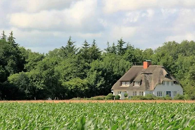 Westerheide Komfortable Ferienresidenz
