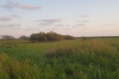 8 Personen Ferienhaus in Skjern-By Traum
