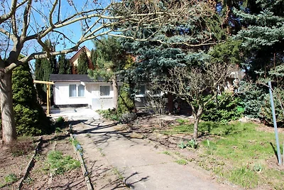 Bungalow giardino idilliaco, Berlino