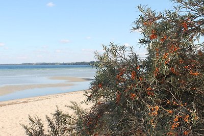 Appartamento con terrazza vicino al Mar...