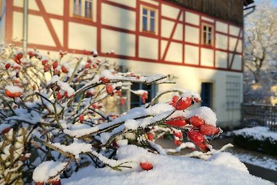 Ferienhaus in Lichtenhain mit Barbecue