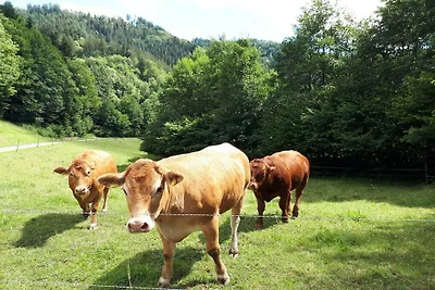 Residenza di vacanza piccola ma piacevole e...