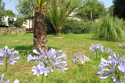 Spaziosa casa vacanze con piscina