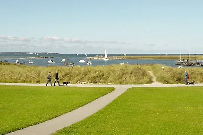 4 Personen Ferienhaus in Wendtorf