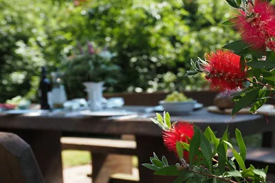 Vakantieappartement in Nahrendorf met...