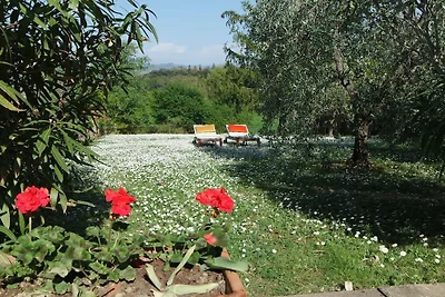 Appartamento per vacanze con 1 camera da...