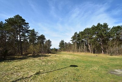 Aangenaam vakantiehuis in Bergen aan Zee met ...