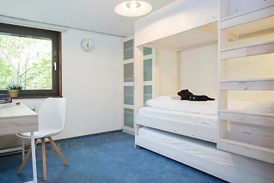 Modern Ferienhaus nähe von Winterberg mit...